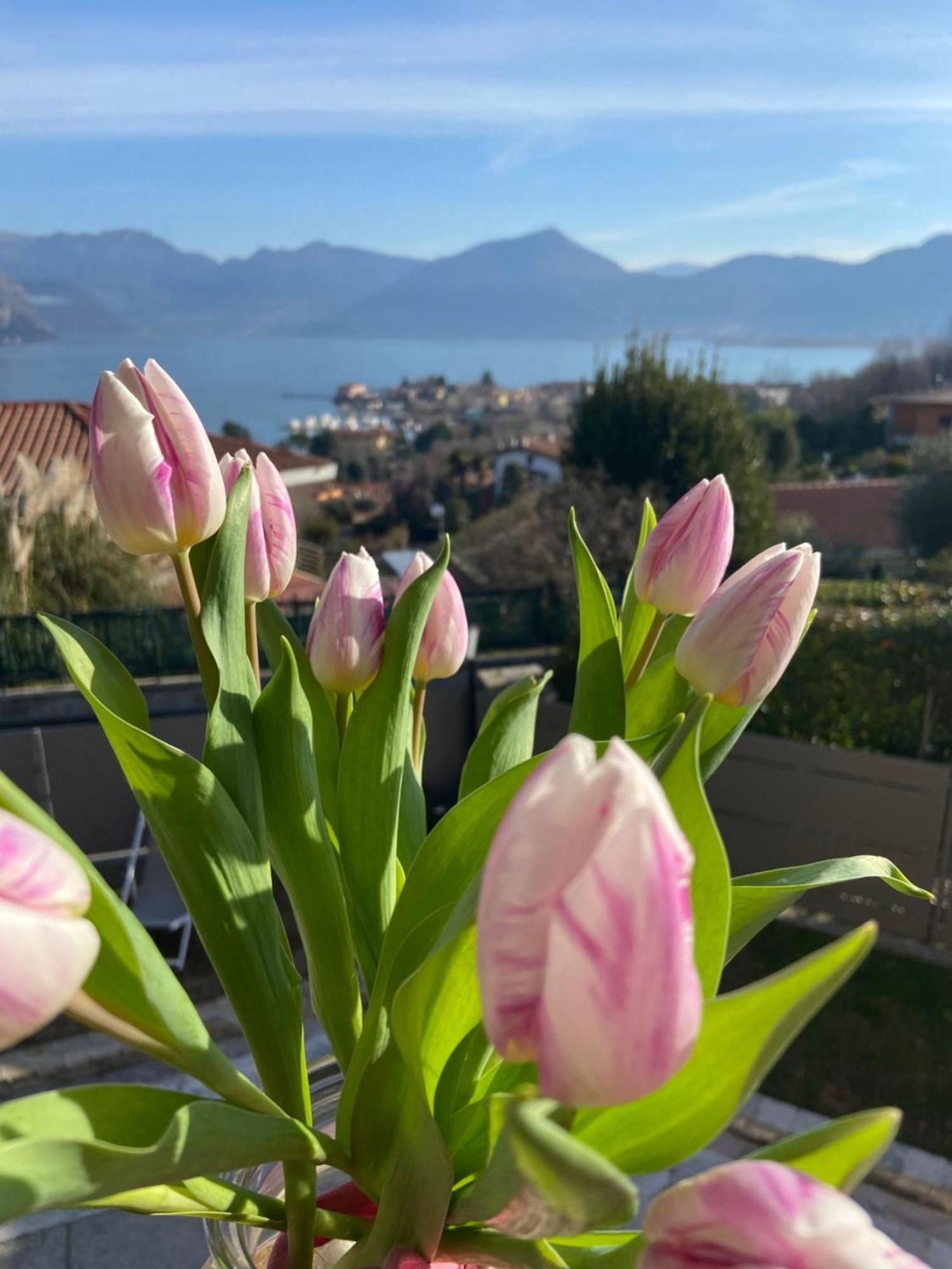 B&B Panorama Исео Экстерьер фото